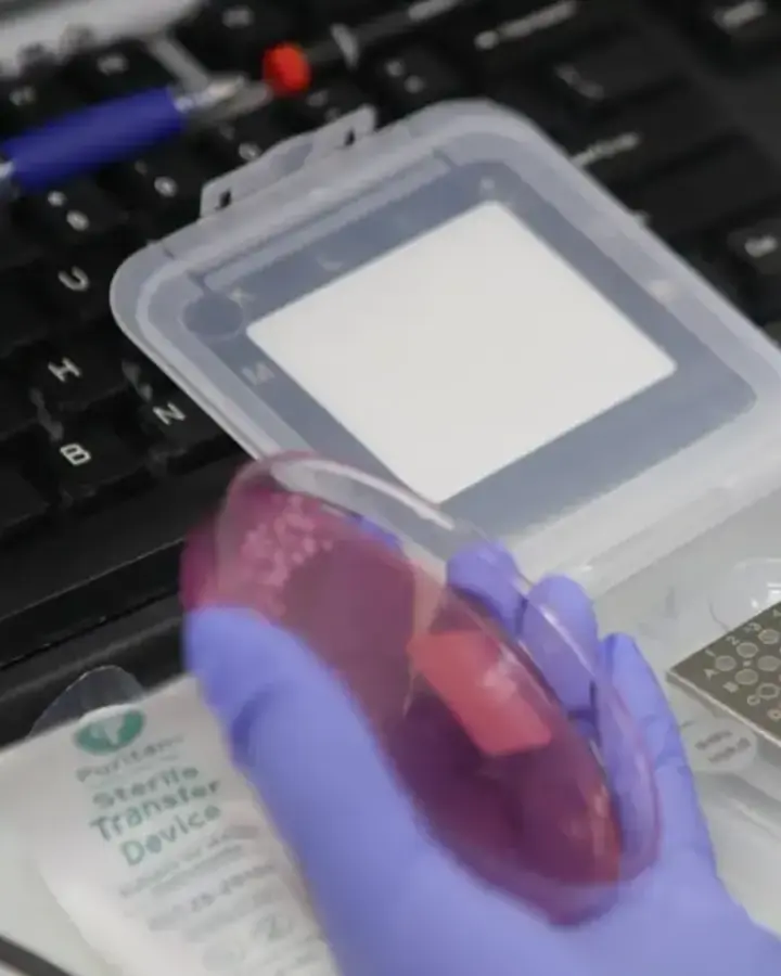 lab technician working in a lab