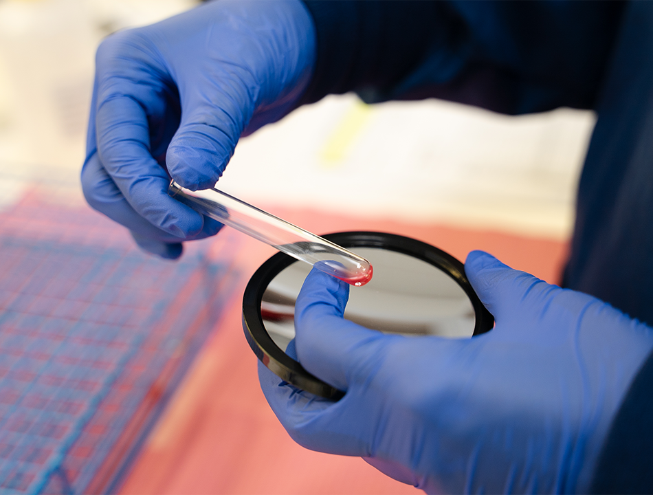 a-person-holding-petri-dish-and test-tube a-person-holding-petri-dish-and test-tube