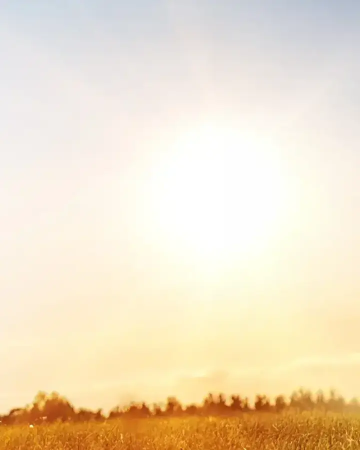 family holding up child at sunset